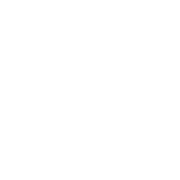 logo-sws-schulen-schwerin